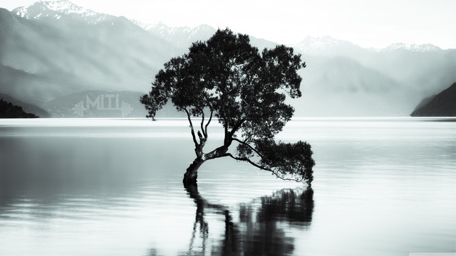 Обои 2025-10-30 №73548