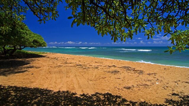 Обои 2025-10-30 №73579