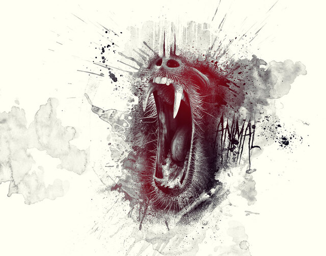 Обои 2025-10-30 №73607