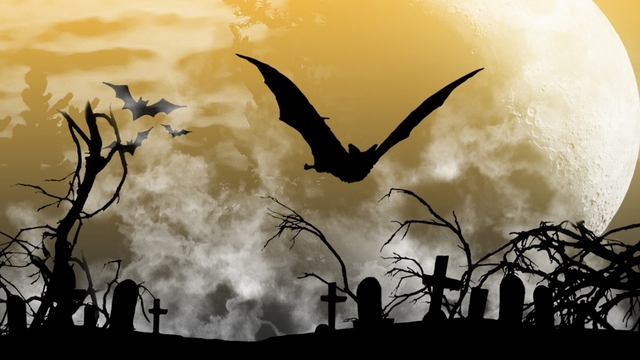 Обои 2025-10-30 №73603