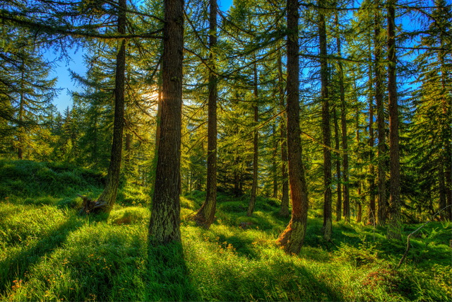 Обои 2025-10-31 №73636