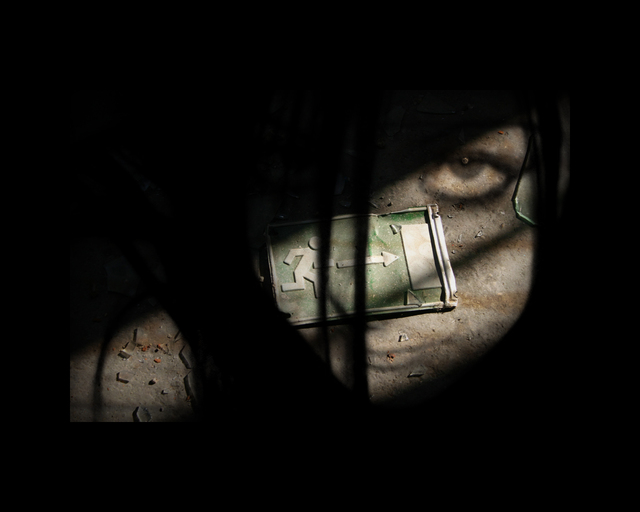 Обои 2025-10-31 №73645