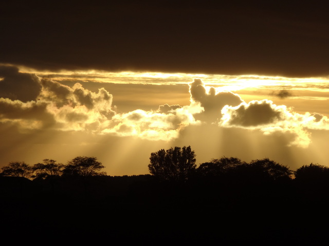 Обои 2025-10-31 №73653