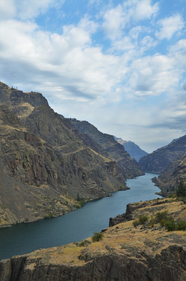 Обои 2025-11-01 №73703