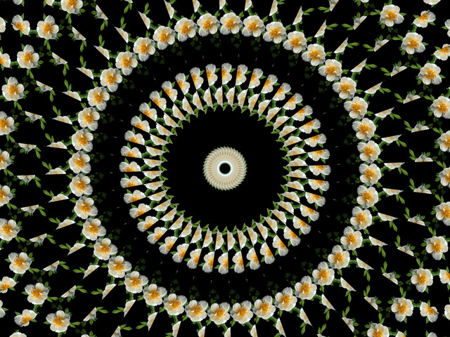 Обои 2025-11-01 №73746