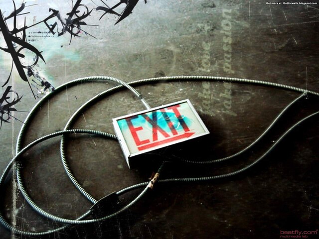 Обои 2025-11-02 №73850