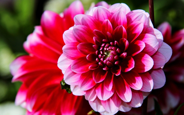 Обои 2025-11-03 №73879