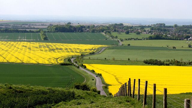 Обои 2025-11-03 №73896