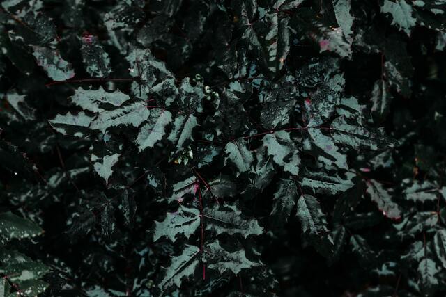 Обои 2025-11-03 №73893