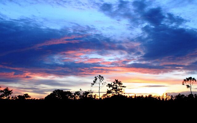 Обои 2025-11-03 №73892