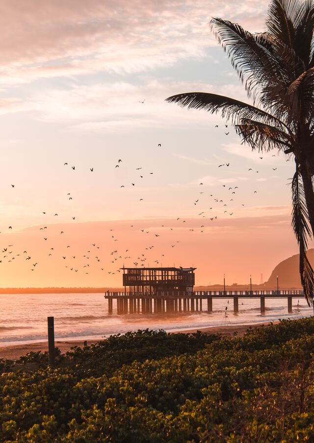 Обои 2025-11-03 №73911