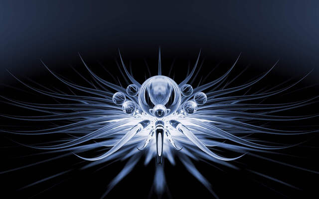 Обои 2025-11-03 №73926