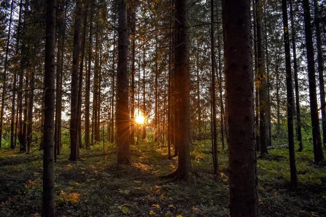 Обои 2025-11-03 №73922