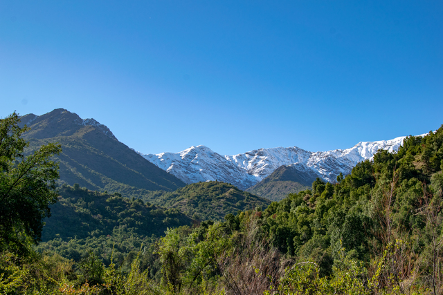 Обои 2025-11-03 №73921