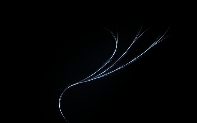 Обои 2025-11-03 №73951