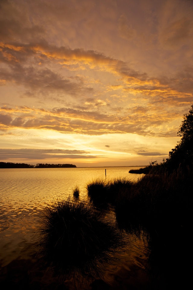 Обои 2025-11-04 №73981