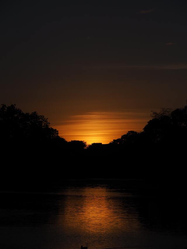 Обои 2025-11-04 №73993