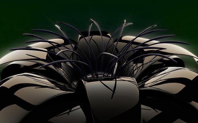 Обои 2025-11-05 №74036