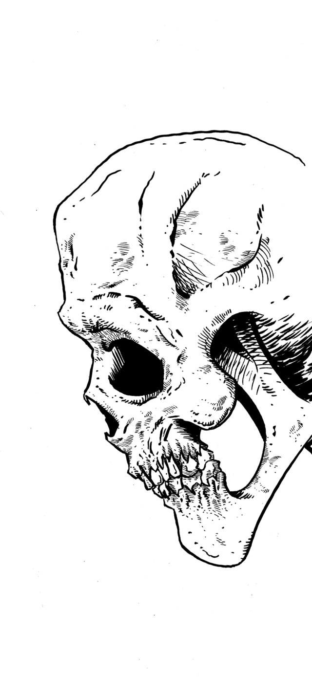 Обои 2025-11-05 №74062