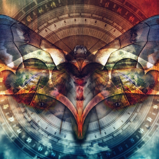 Обои 2025-11-05 №74072