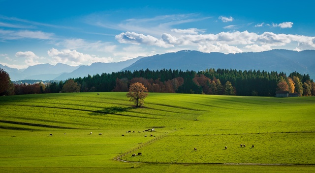 Обои 2025-11-05 №74067