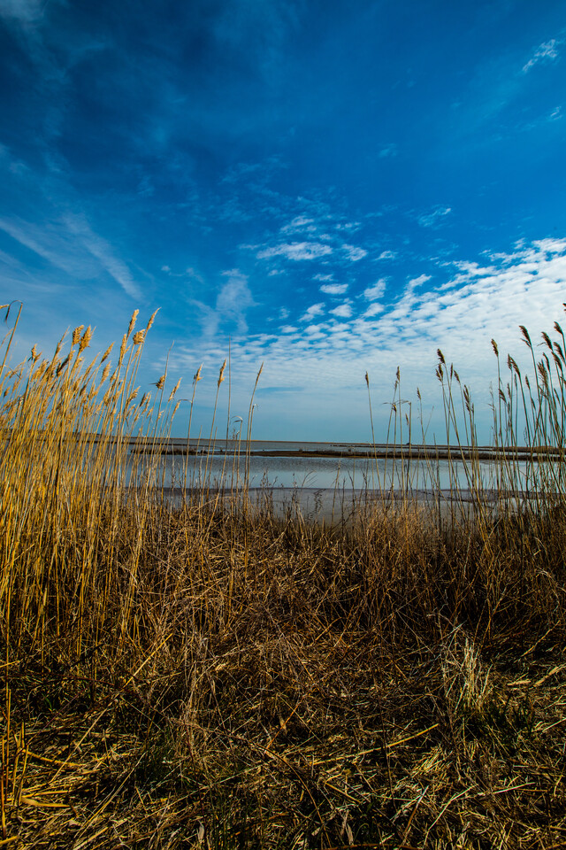 Обои 2025-11-05 №74089