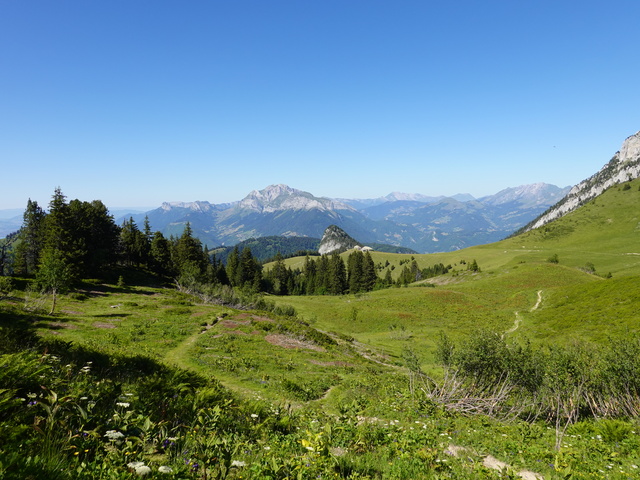 Обои 2025-11-05 №74088