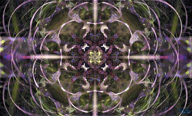 Обои 2025-11-06 №74122