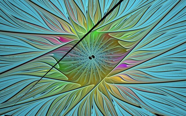 Обои 2025-11-06 №74131