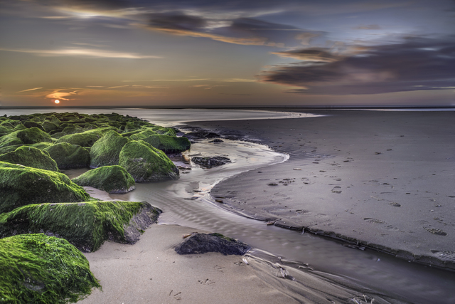 Обои 2025-11-06 №74142