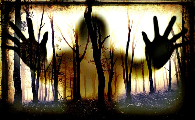 Обои 2025-11-06 №74150