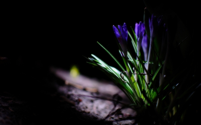 Обои 2025-11-07 №74195