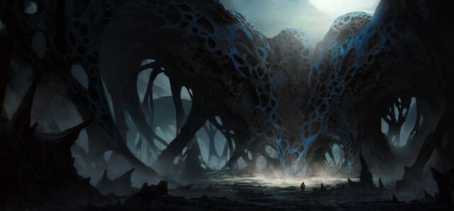 Обои 2025-11-07 №74196