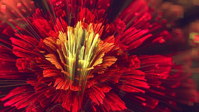 Обои 2025-11-07 №74206