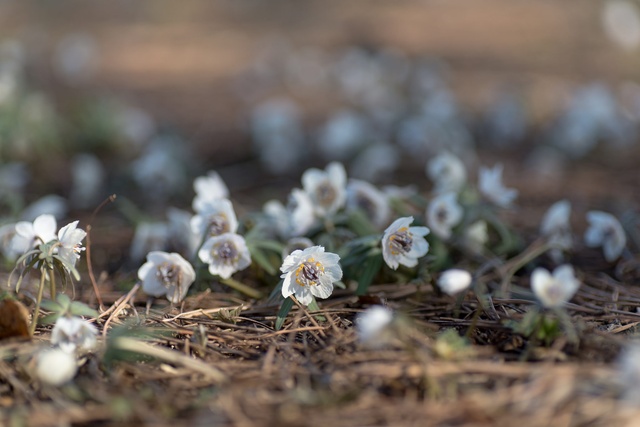 Обои 2025-11-07 №74199