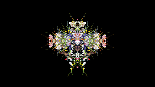 Обои 2025-11-07 №74220