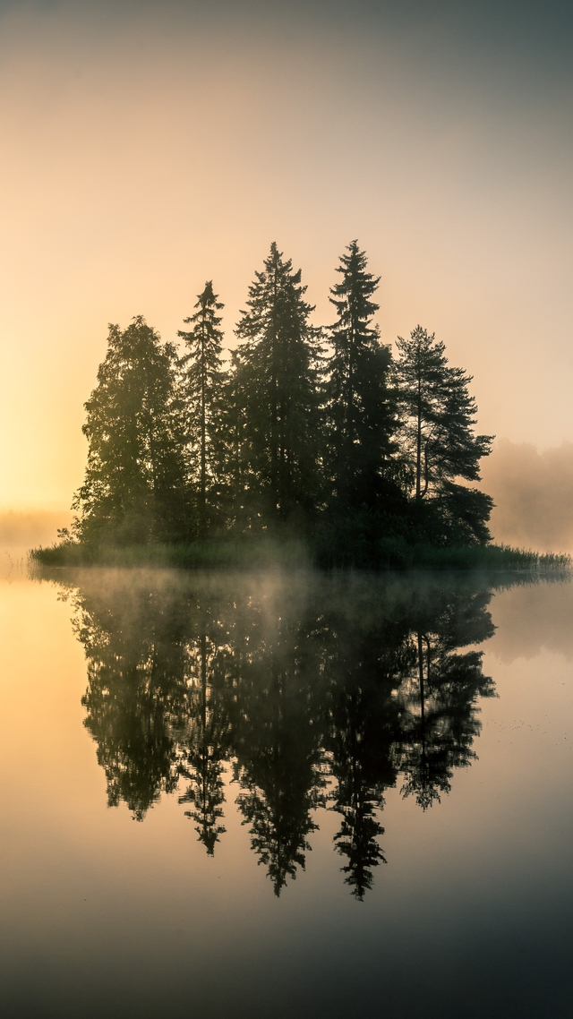 Обои 2025-11-07 №74224