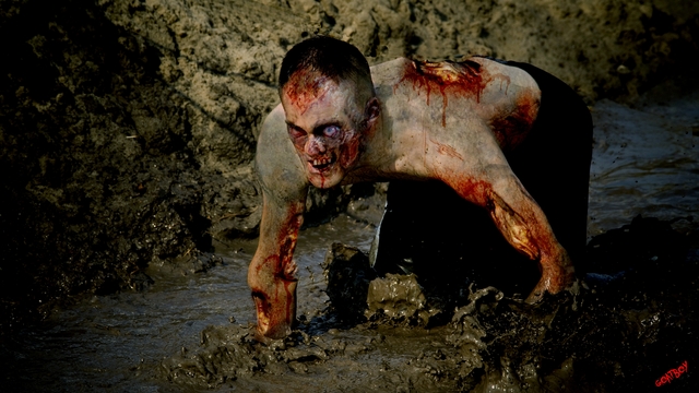 Обои 2025-11-07 №74243