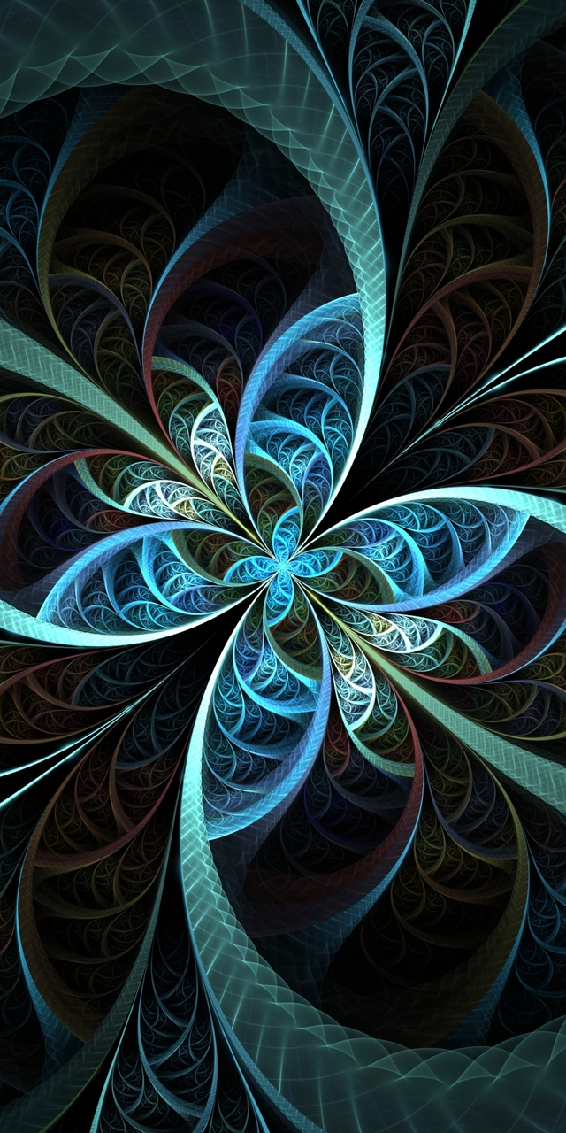 Обои 2025-11-08 №74268