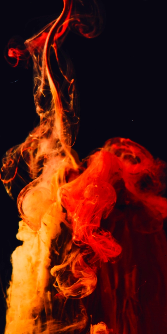 Обои 2025-11-08 №74266