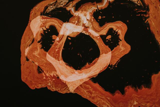 Обои 2025-11-08 №74284
