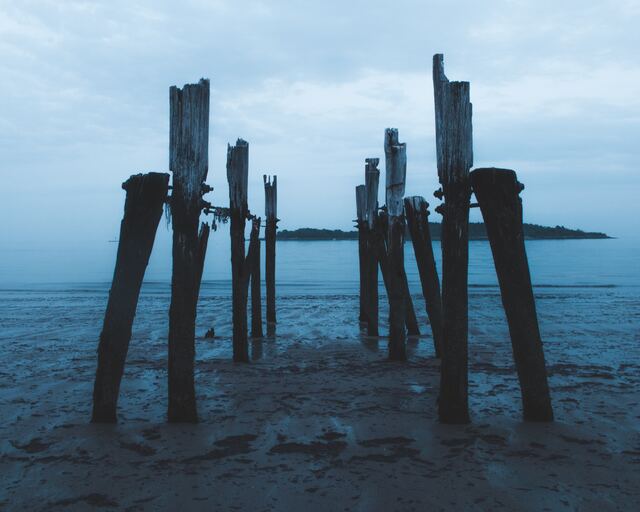 Обои 2025-11-08 №74297