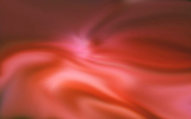 Обои 2025-11-08 №74299