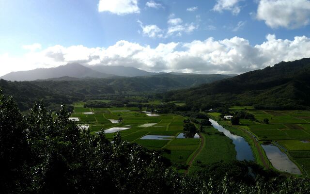 Обои 2025-11-08 №74315