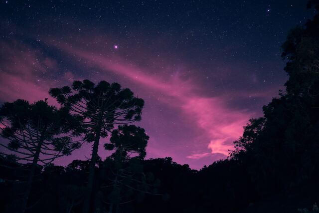 Обои 2025-11-09 №74371