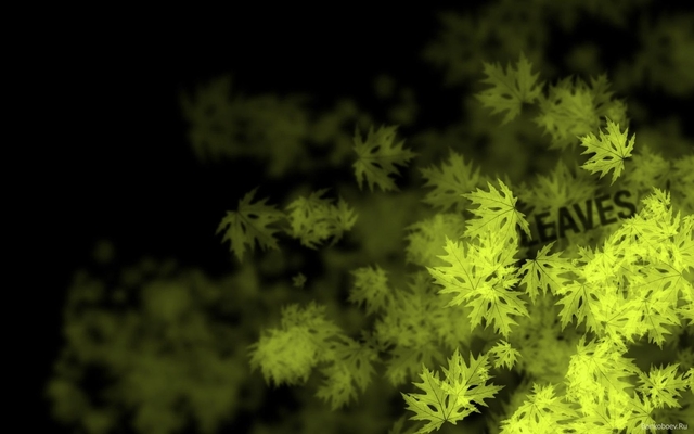 Обои 2025-11-09 №74378