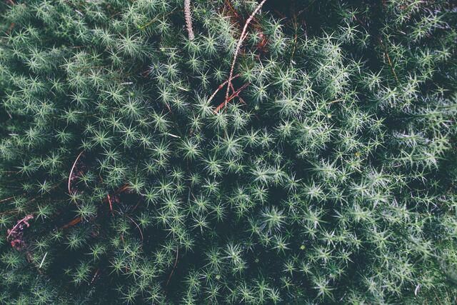 Обои 2025-11-09 №74429