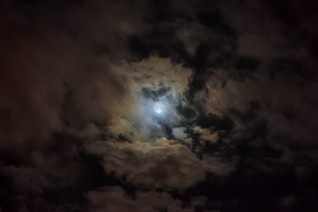 Обои 2025-11-09 №74426