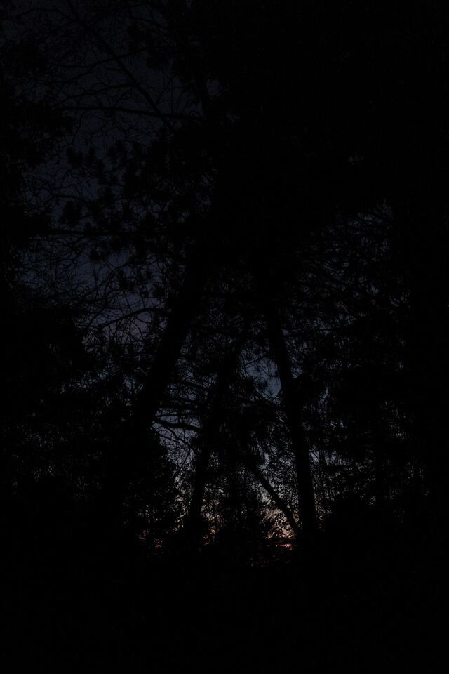 Обои 2025-11-10 №74451