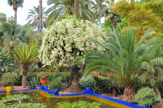 Обои 2025-11-10 №74454